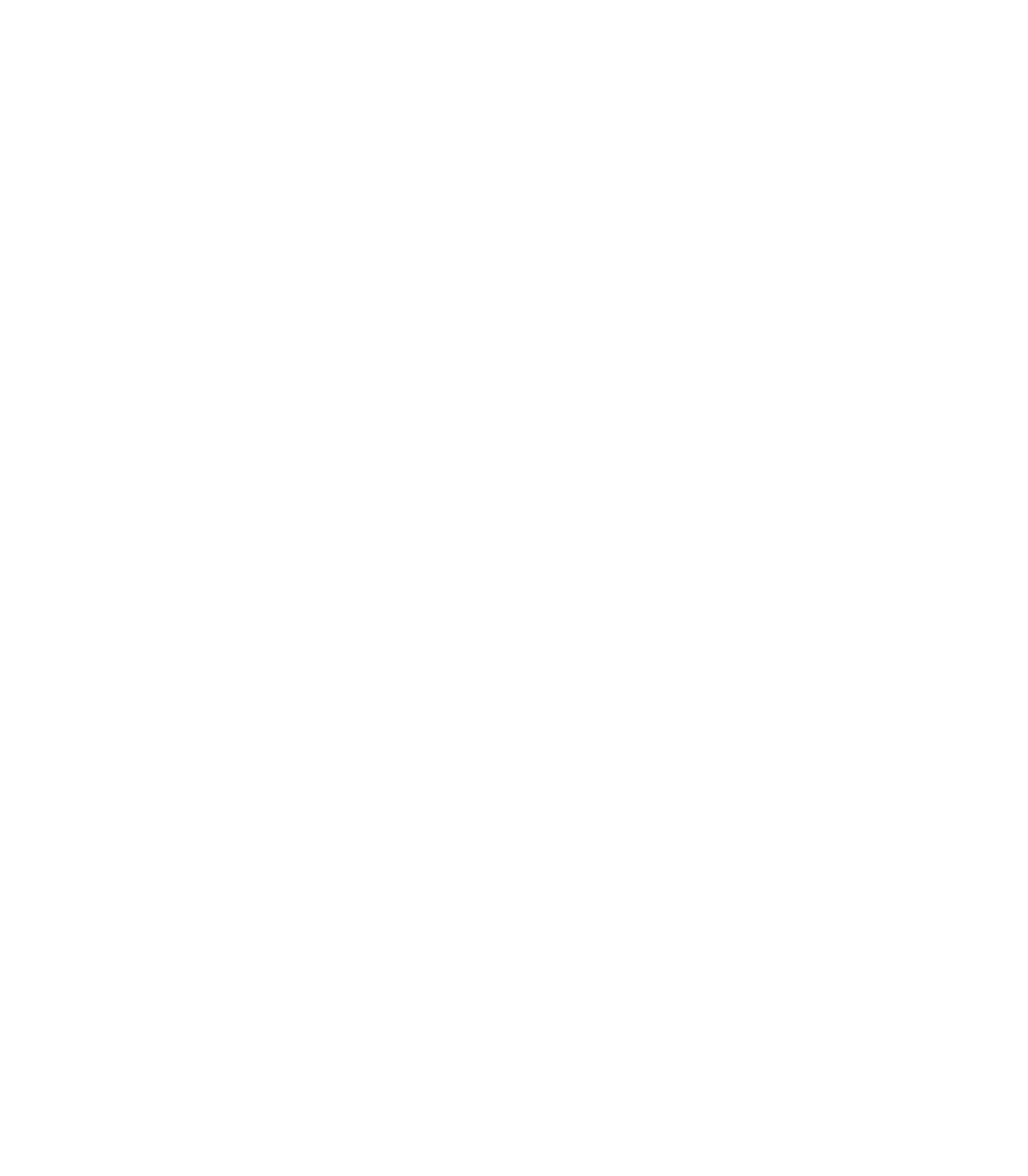 An illustration depicting a food plate served beneath a bell, which a waiter lifts to reveal a Rubik's cube illustration symbolizing our diverse skillset and expertise across various areas that you can benefit from.